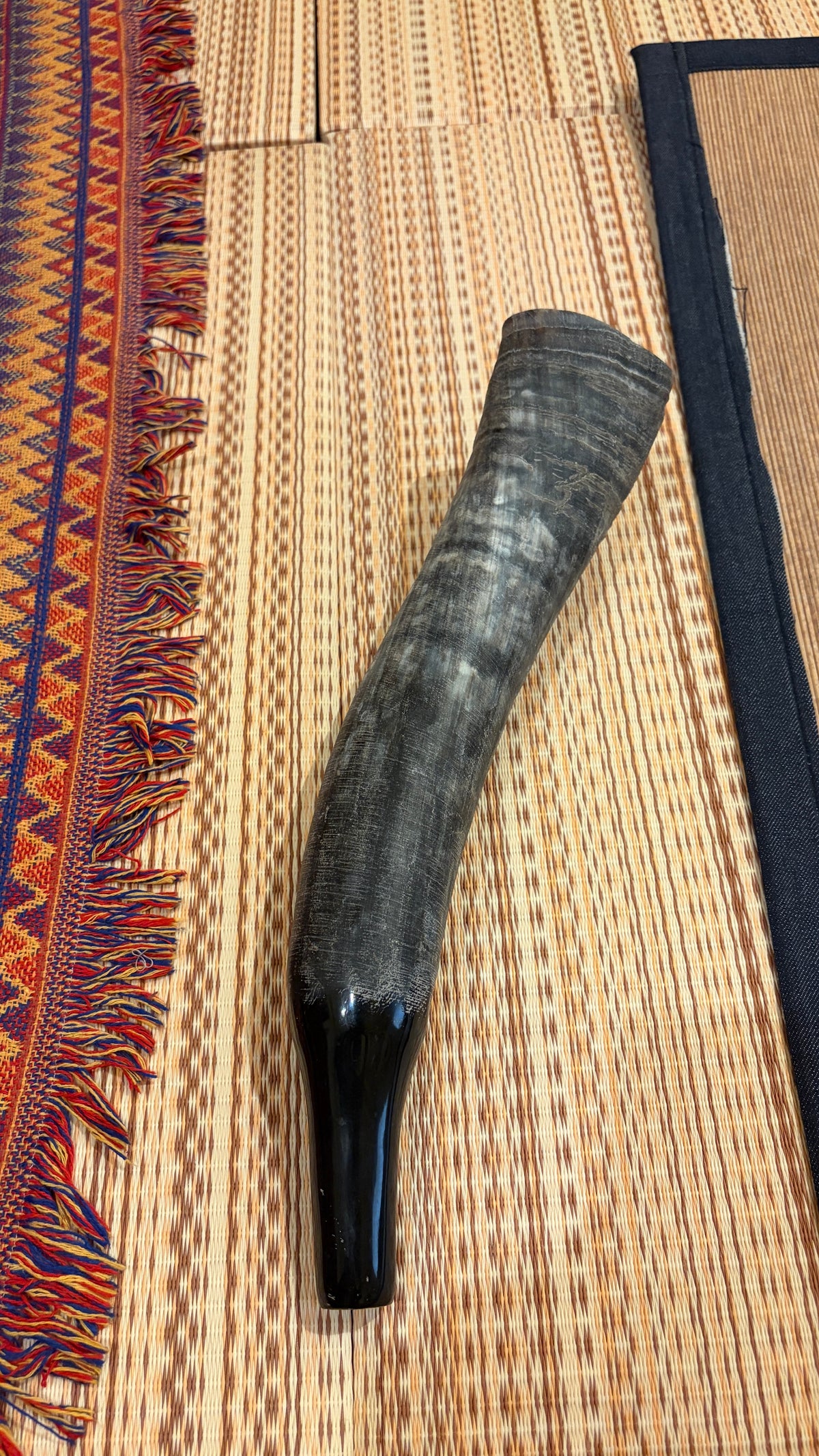 Buffalo Horn