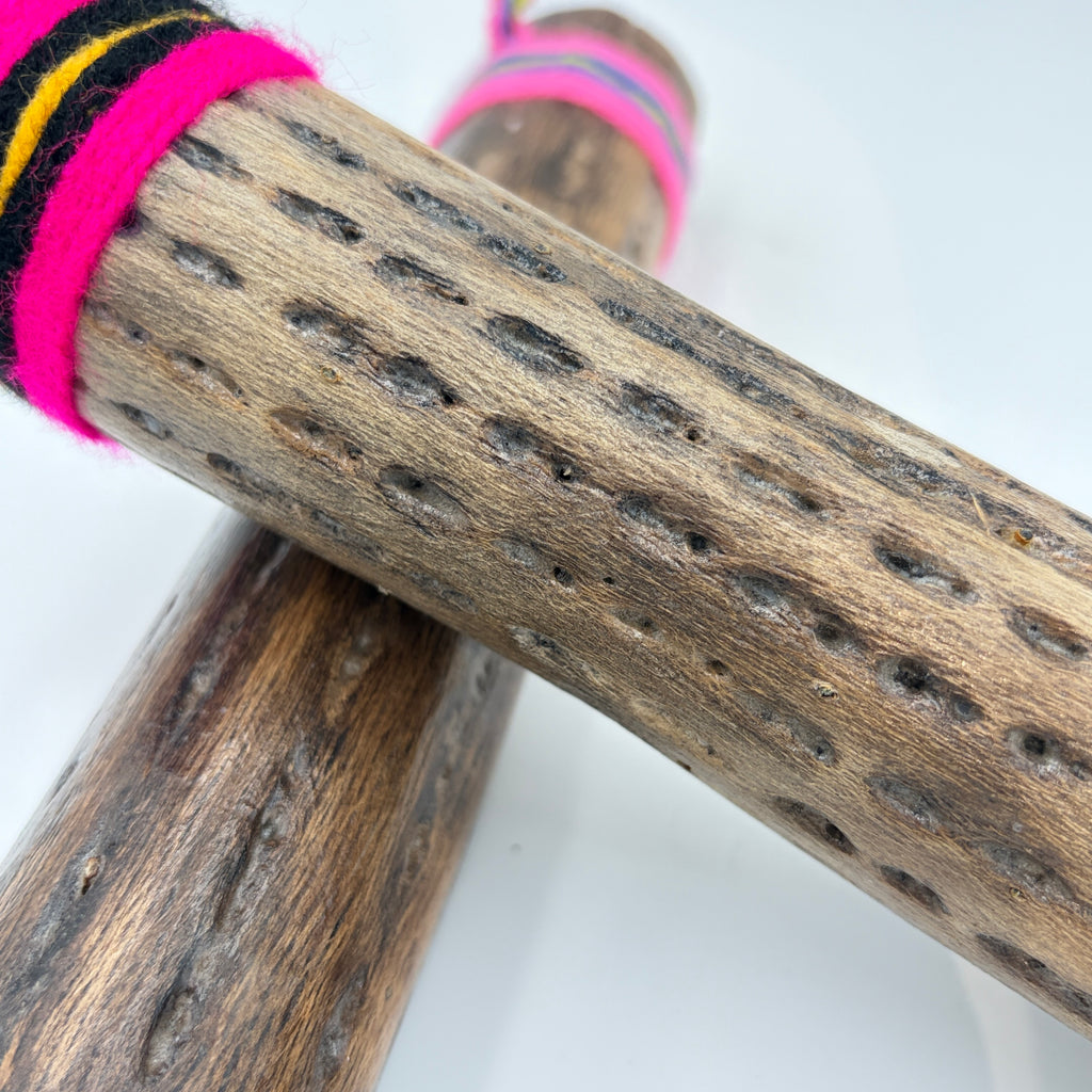 Cactus Rainstick from Chile