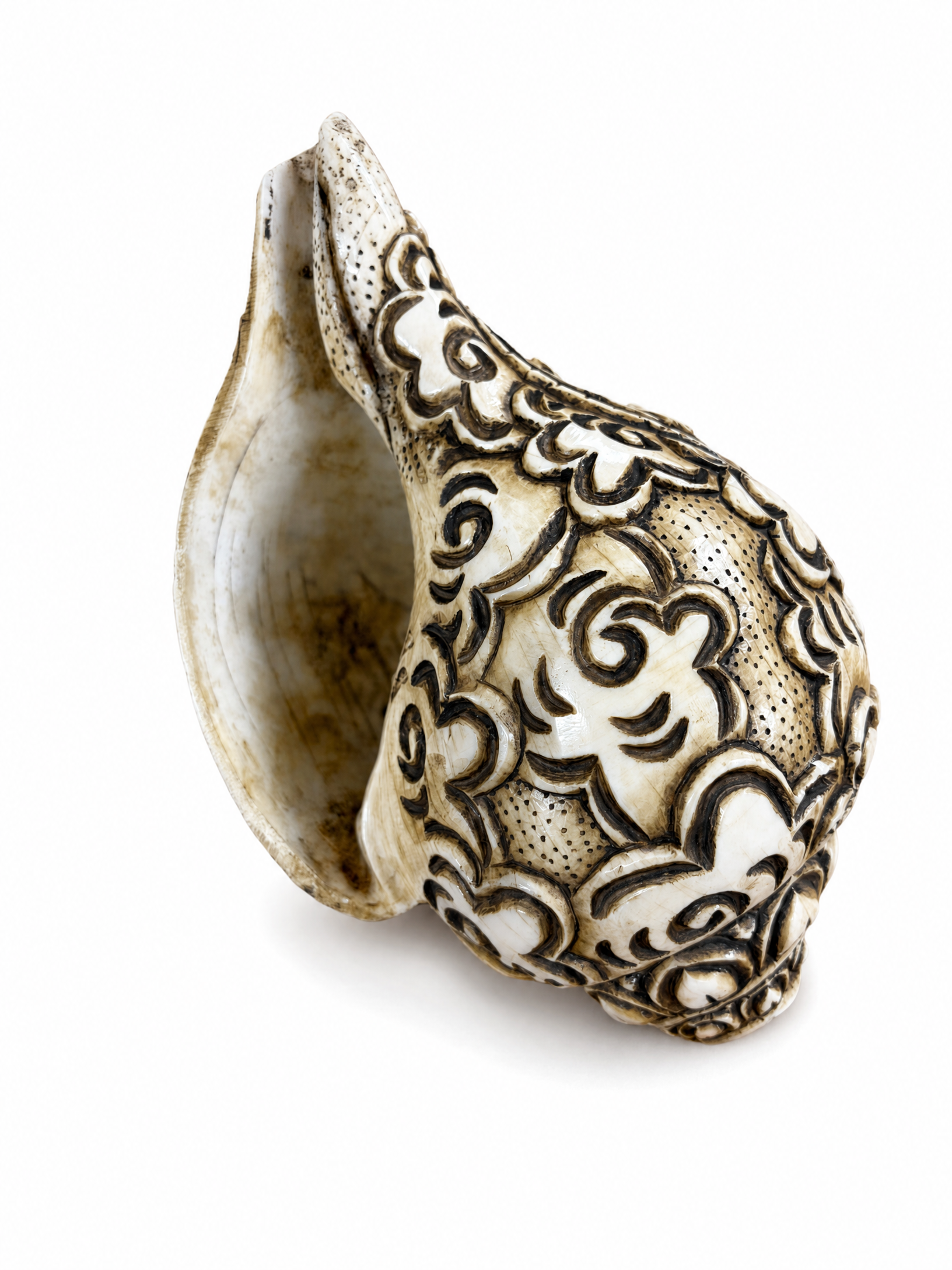 Nepalese Carved Conch Shell Horn / Shankha
